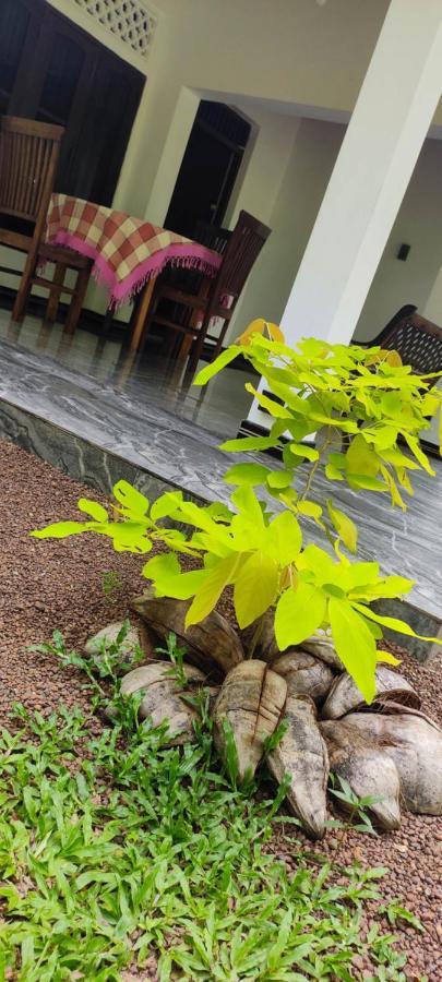 Sunset Villa Negombo Ngoại thất bức ảnh